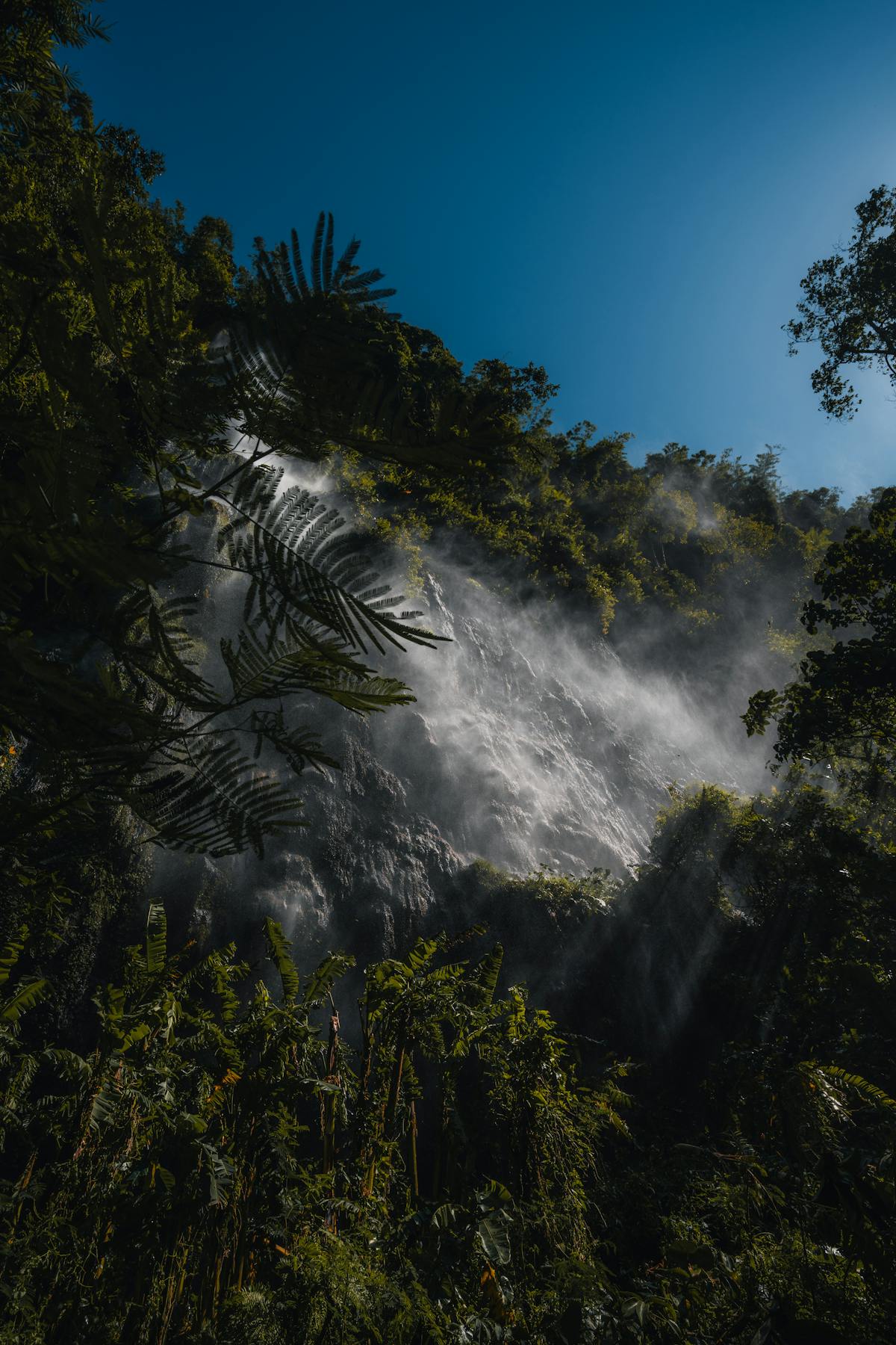 Cascade spectaculaire dans la jungle tropicale de Bali