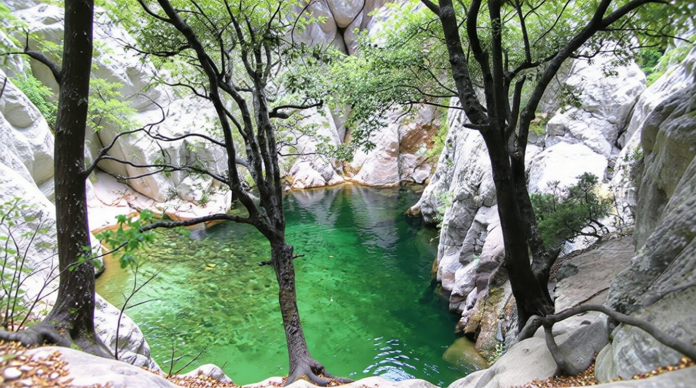 Baignade et observation de la faune sauvage