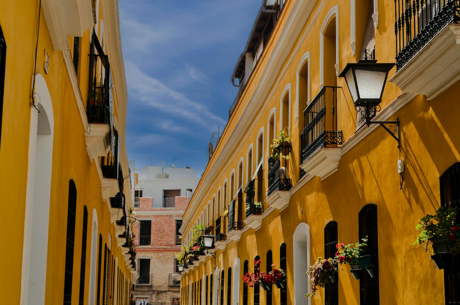 Rues colorées de Séville, capitale de l'Andalousie